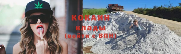 спайс Арсеньев