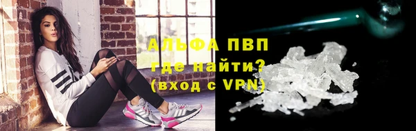 спайс Арсеньев