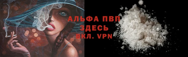 спайс Арсеньев