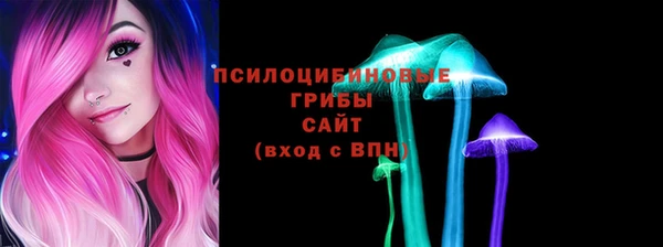 спайс Арсеньев