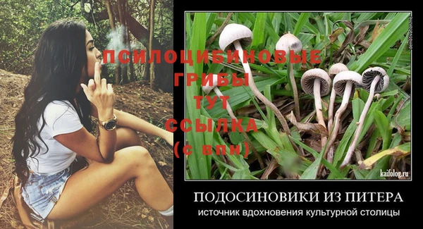 спайс Арсеньев