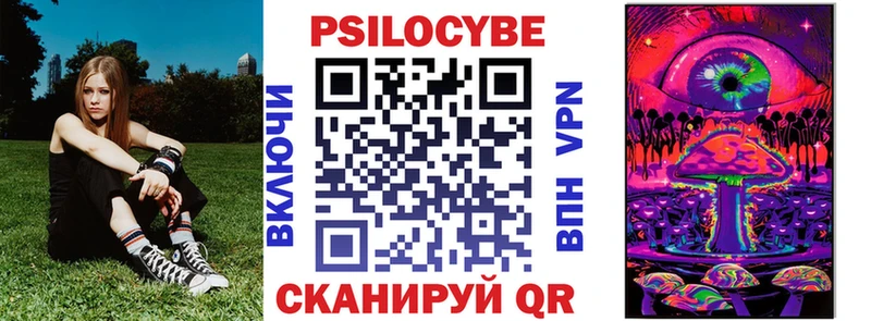 Купить  Ефремов  Галлюциногенные грибы мухоморы 